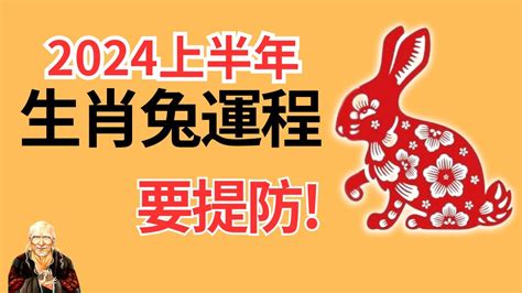 2024年属兔运势|【屬兔2024生肖運勢】是非多人氣旺，運勢漸入佳。